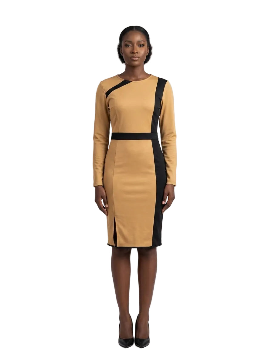 The Panel Sheath Dress