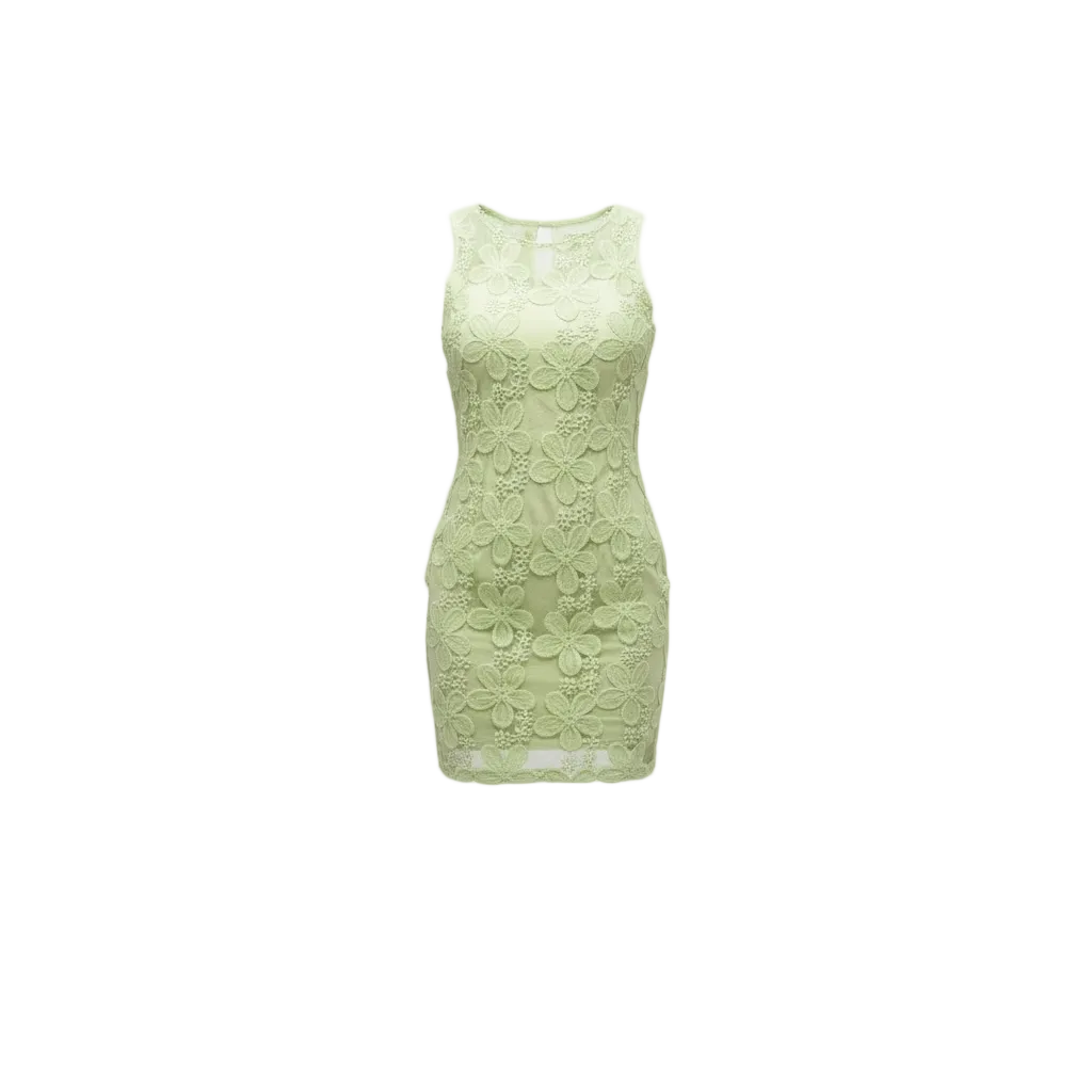 Sage Floral Applique Mini Dress