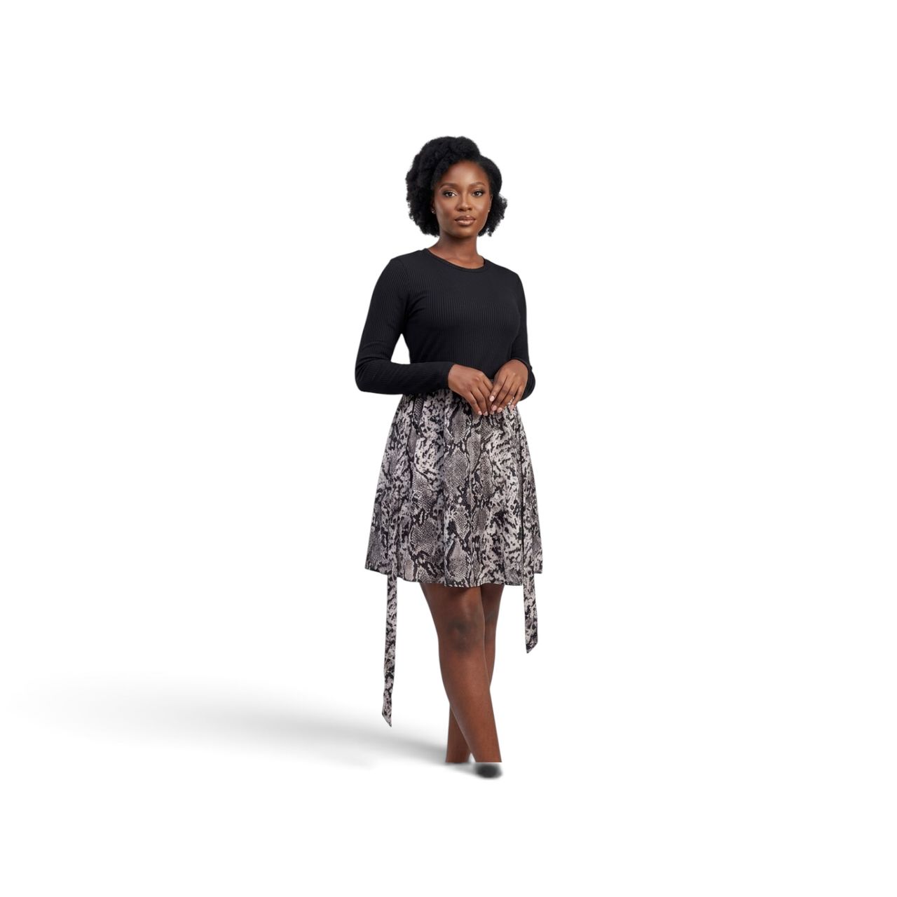 Snake Print Contrast A-Line Dress