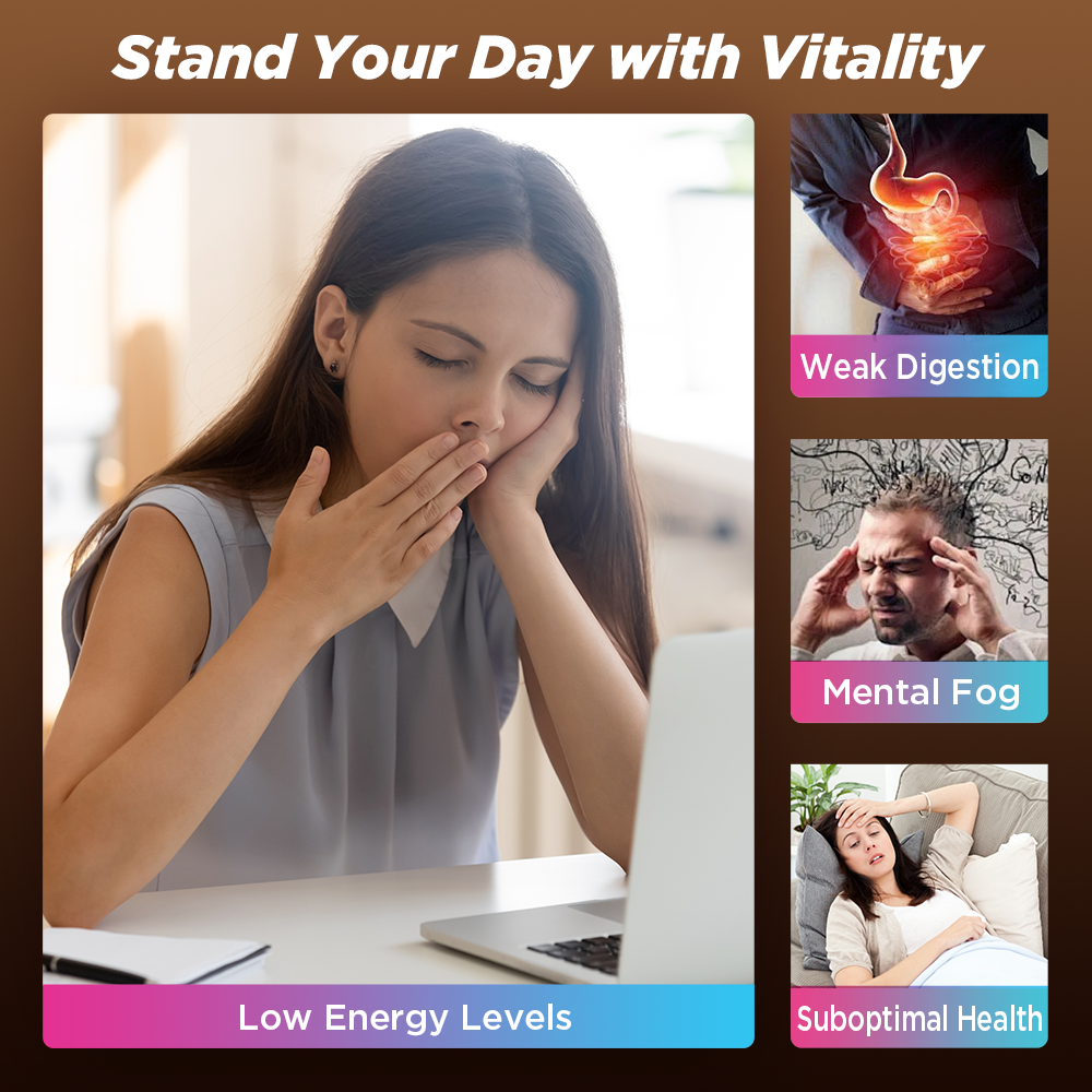 Organic Mushroom Coffee – Lions Mane + 10 Mushroom Extract Blend (180g)